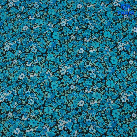 20250703-_MG_5615