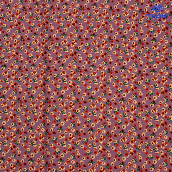 20250724-_MG_7668
