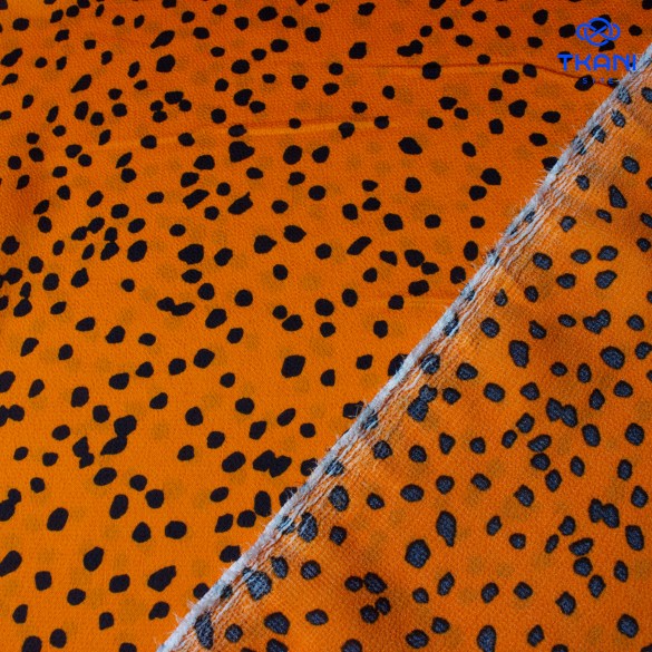 20250728-_MG_8150