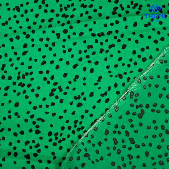 20250729-_MG_8274